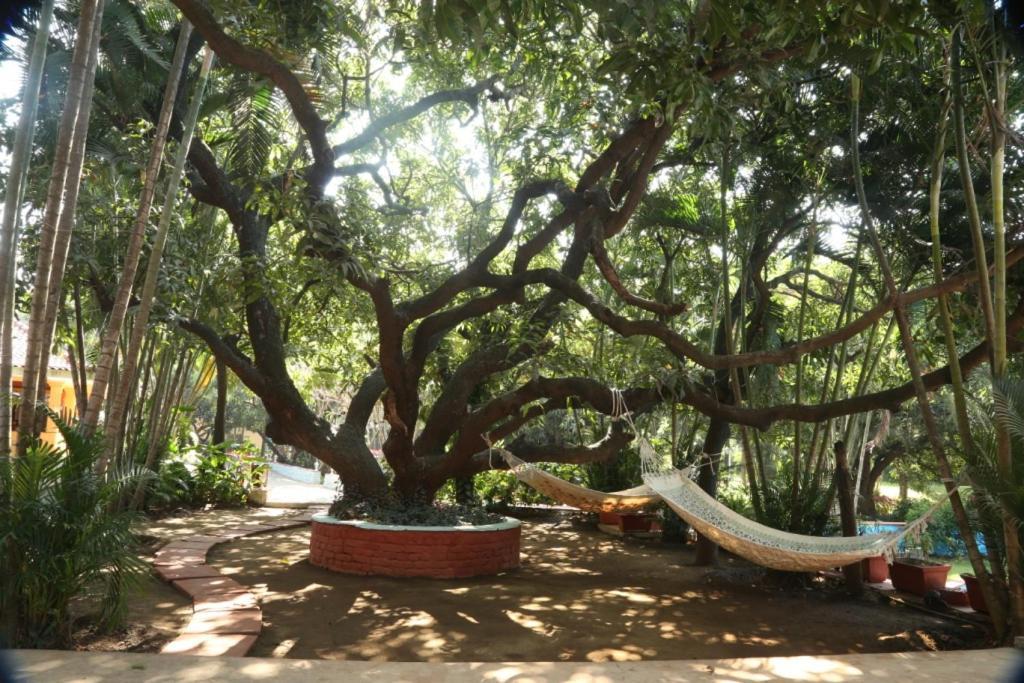 Отель Outpost@Alibaug Алибаг Экстерьер фото
